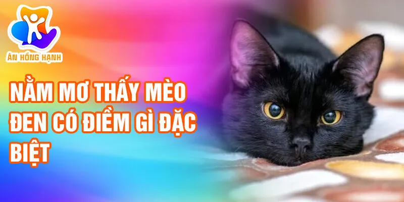 Nằm Mơ Thấy Mèo Đen: Khám Phá Thông Điệp Bí Ẩn 2 Nằm mơ thấy mèo đen có điềm gì đặc biệt