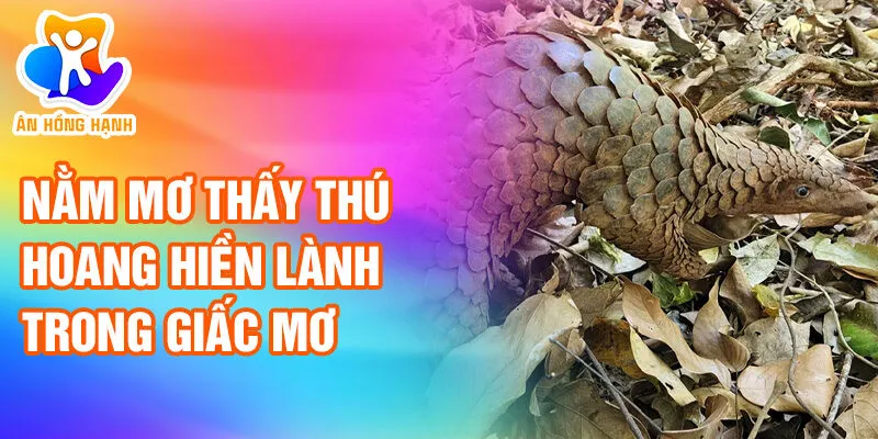 Nằm Mơ Thấy Thú Hoang: Khám Phá Ý Nghĩa Bí Ẩn 2 Nằm mơ thấy thú hoang hiền lành trong giấc mơ
