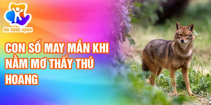 Nằm Mơ Thấy Thú Hoang: Khám Phá Ý Nghĩa Bí Ẩn 3 Con số may mắn khi nằm mơ thấy thú hoang