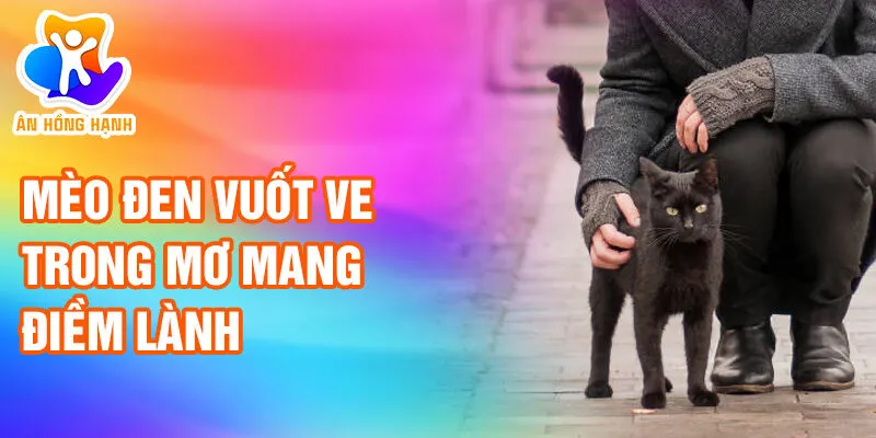 Nằm Mơ Thấy Mèo Đen: Khám Phá Thông Điệp Bí Ẩn 3 Mèo đen vuốt ve trong mơ mang điềm lành