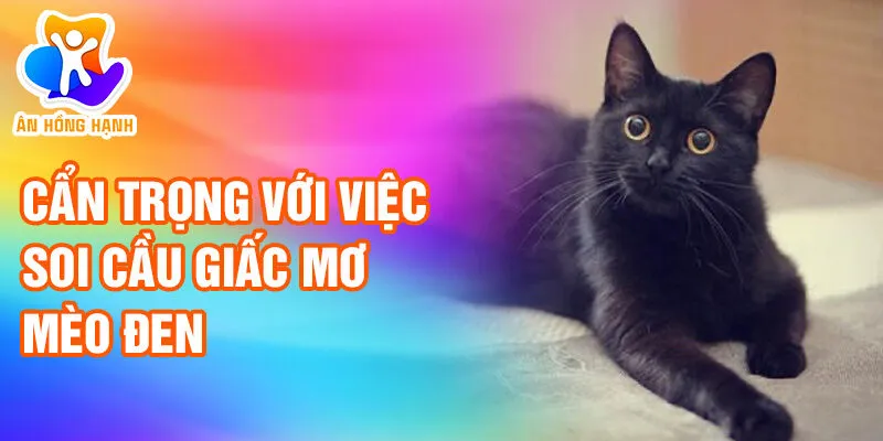 Nằm Mơ Thấy Mèo Đen: Khám Phá Thông Điệp Bí Ẩn 4 Cẩn trọng với việc soi cầu giấc mơ mèo đen