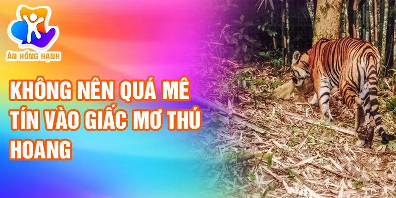 Nằm Mơ Thấy Thú Hoang: Khám Phá Ý Nghĩa Bí Ẩn 4 Không nên quá mê tín vào giấc mơ thú hoang